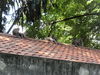 M_2010-07-29_024.JPG